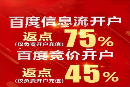 行业顶尖SEM竞价员的策略及成功案例